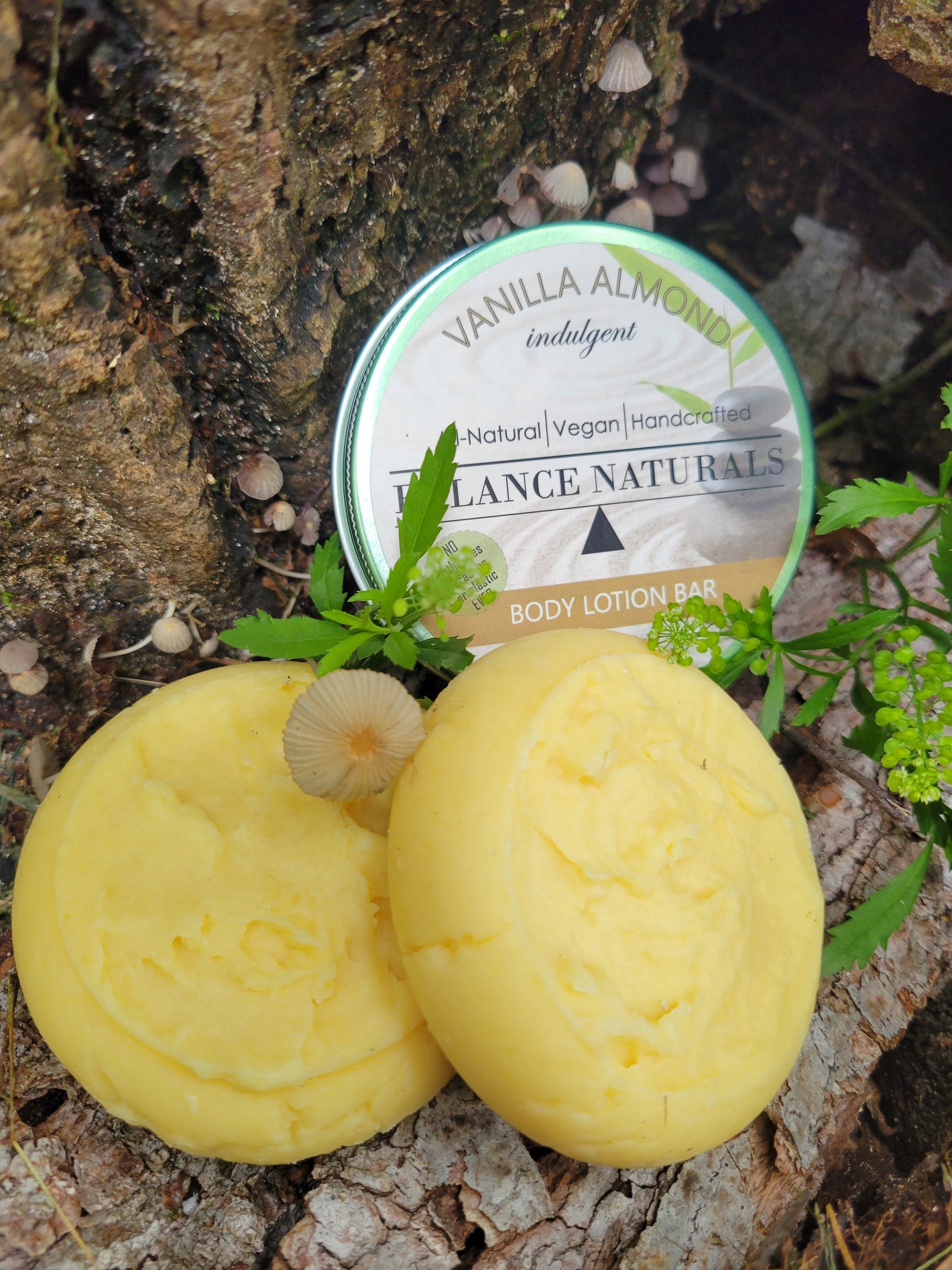 all natural lotion bars in eco friendly packaging