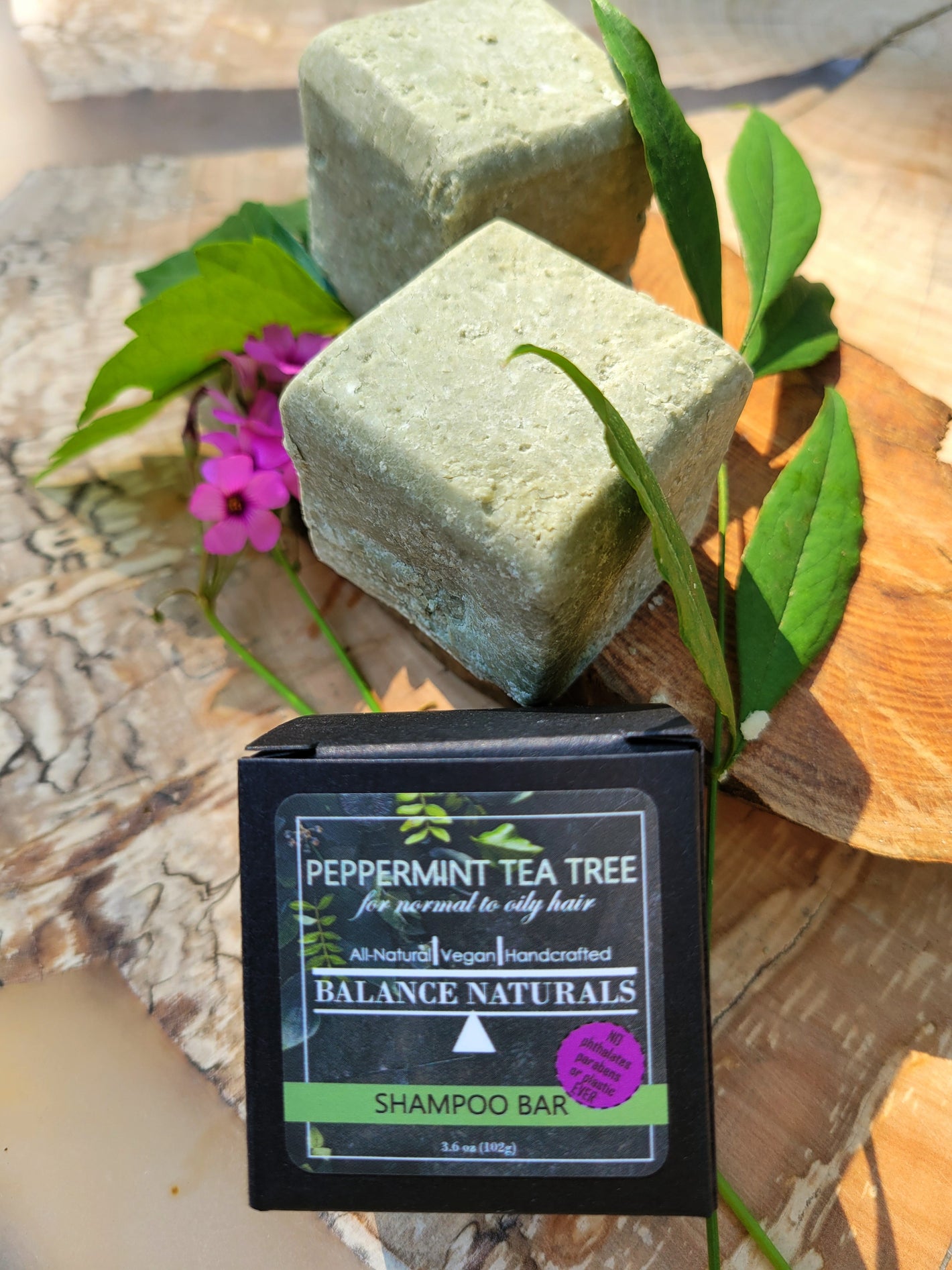 shampoo bars with eco friendly packaging