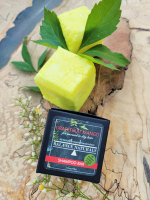 2-in-1 shampoo bar in eco friendly packaging