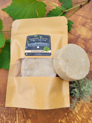 shampoo bars in eco friendly packaging